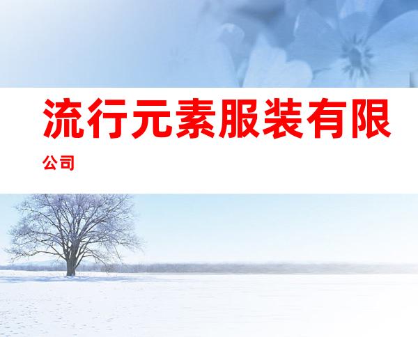 流行元素服装有限公司